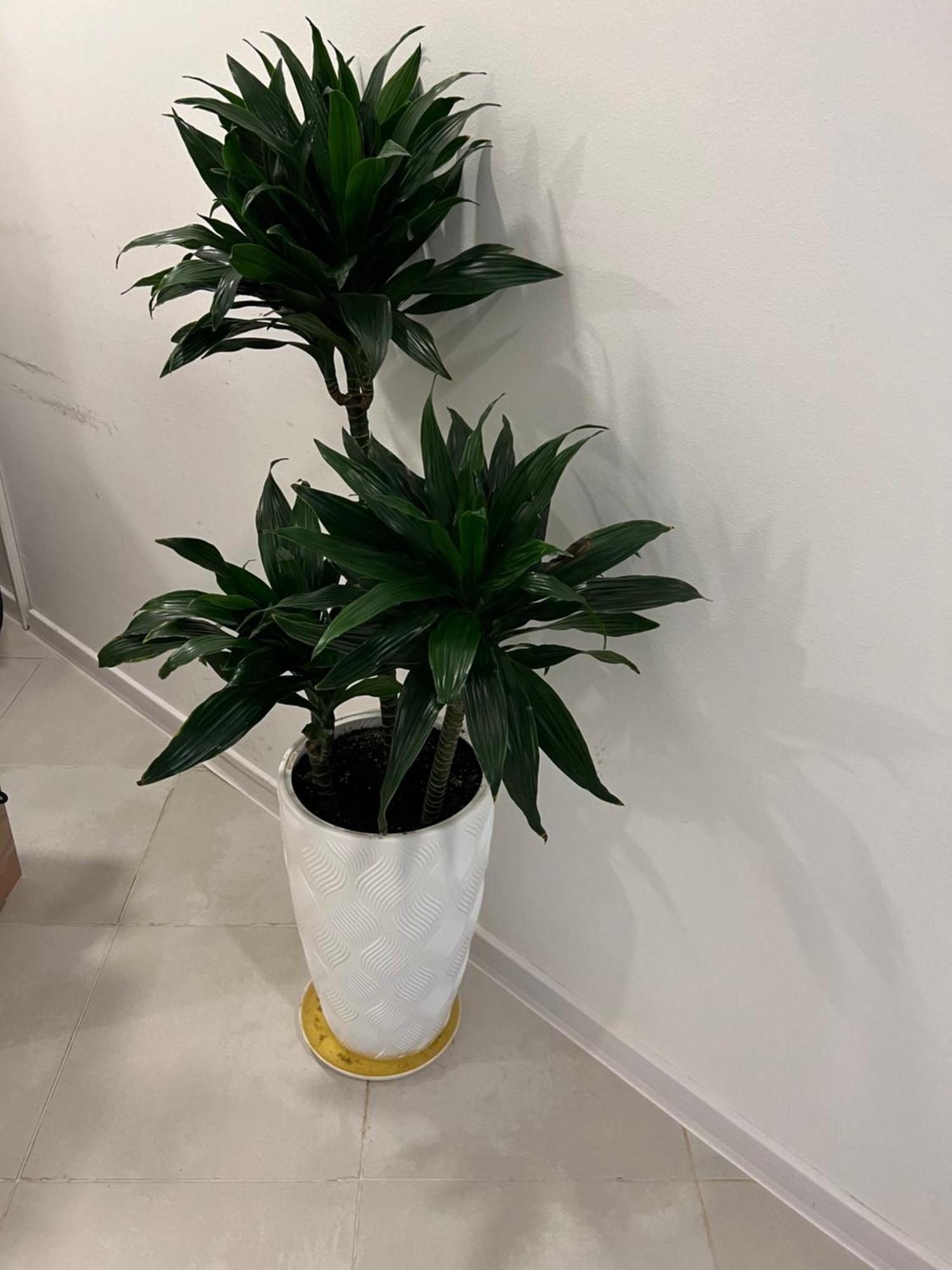 Apple Cozy Hotel Tbilisi Ngoại thất bức ảnh